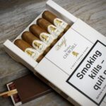 Davidoff Winston Churchill (Artist) Petit Corona Cigars – Pack of 5